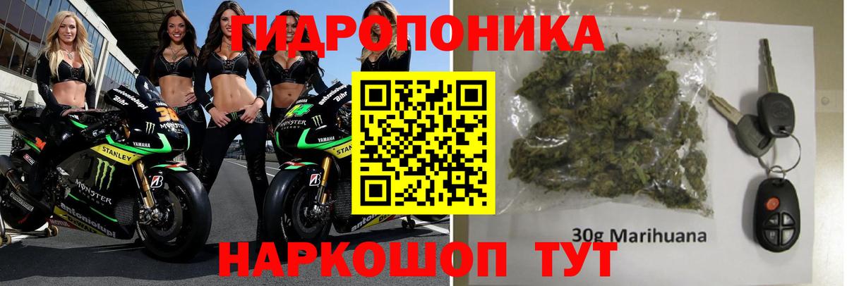 МАРИХУАНА конопля Саяногорск